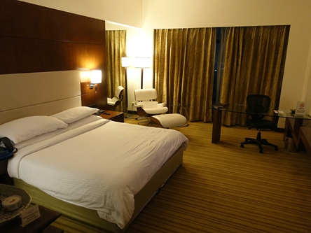 德里 Delhi-Country Inn & Suites by Radisson